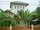 micro Home Size 200 Sqm House For Rent