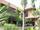 micro A ThaiBali style house with plenty