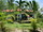 micro  ATRIUM HOUSE IN AO NANG