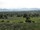 micro land area 7 rai/11200 sqm