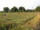 micro 1 rai of land 