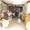 micro Business to take over - Restaurant