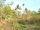 micro Land For Sale: 12 Rai