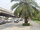 micro Land for sale 3-3-21 rai. width 200 m.