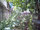 micro Land for sale in Ladprao 258 Sqw.