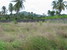 tn 4 2 Rai and 500 sqm. - Bangsaray Land
