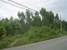 tn 2 4 Rai land for sale in Baan Ampur