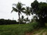 tn 4 DREAM LAND FOR YOU 10 Rai 
