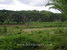 tn 6 94 Rai on Maekok River