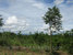 tn 1 1 Rai 2 Ngan Close to City