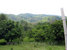tn 2 3 Rai Orchards