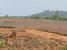 tn 2 200+ Rai Rolling Hills