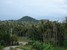tn 1 Maenam