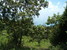 tn 2 East Coast Land w. Seaview