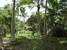tn 4  Baan Nai Suan
