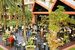 tn 1 Kata Beach Resort 