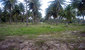 tn 3 Soi Wat Yan (4 Rai + 472 Sq.m)
