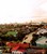 tn 5 Suburban Oasis for Rent 