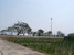 tn 4 Land for sale in Ayuthaya
