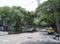 tn 1 Land Area: 1 Rai 141 Sqw. [2,164 Sq.m.] 