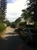 tn 2 FOR SALE : Land at Central Pattaya 