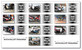 tn 1 New Offers Second Hand Motorcycles 06/09