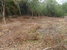 tn 3 Land in Lamai koh Samui for sale