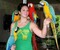tn 1 parrots and fertile eggs