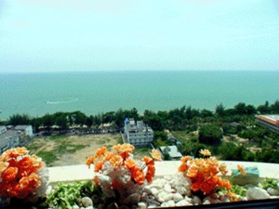 pic Condominium In Jomtien Beach Area
