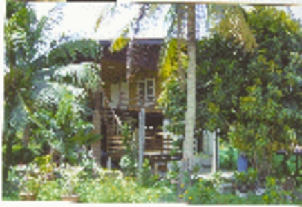 pic A comfortable wooden house