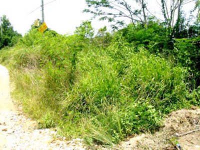 pic Thappraya Land Sale