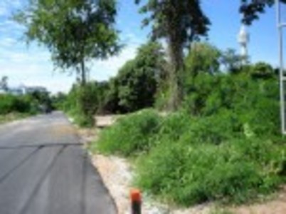 pic 200 Twah Land For Sale in South Pattaya 