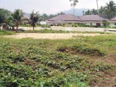 pic LAND FOR SALE - SAMUI