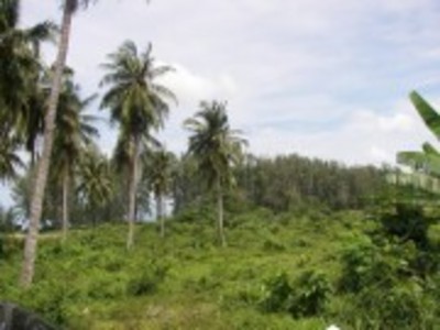 pic Land - Nai Yang , Phuket west cost