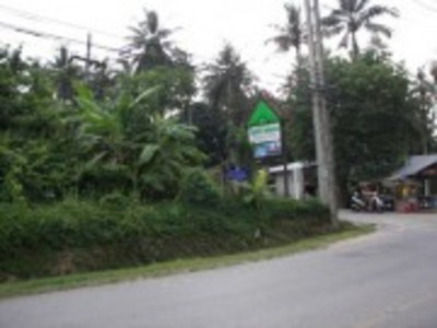 pic Land - Kata , Phuket west cost