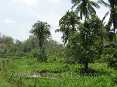 pic 12 Rai Near National Park
