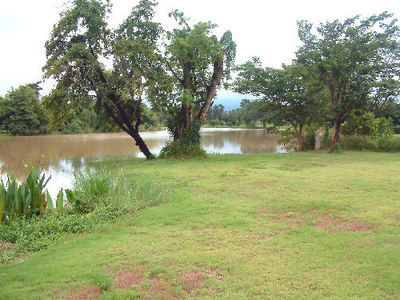 pic A marvelous piece of lakeside land 