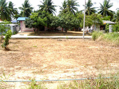 pic Soi Khao Noi