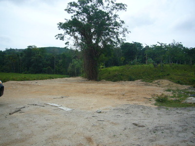 pic Gentle sloping land