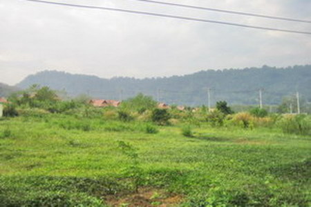 pic Land at Pak Klog, Phuket