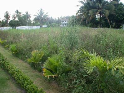 pic Land, 292 Tw2 - 1170 sqm
