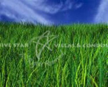 pic Lovely hillside location 