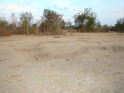 pic Land For Sale: 11 Rai