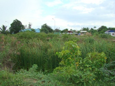 pic Large Plot in NW Hua Hin -- 2.5 Rai