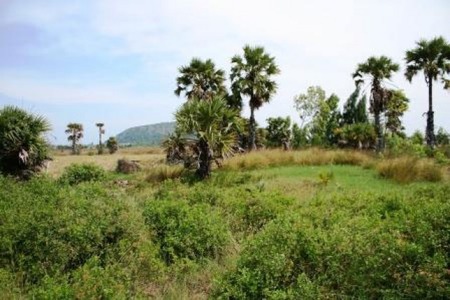 pic 1.5 Rai Land Plots 30 Min. S. of Hua Hin
