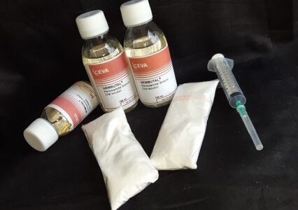 pic Nembutal Oral and injectables solution