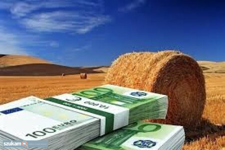 pic We Offer Real Credit Services. To The Ge